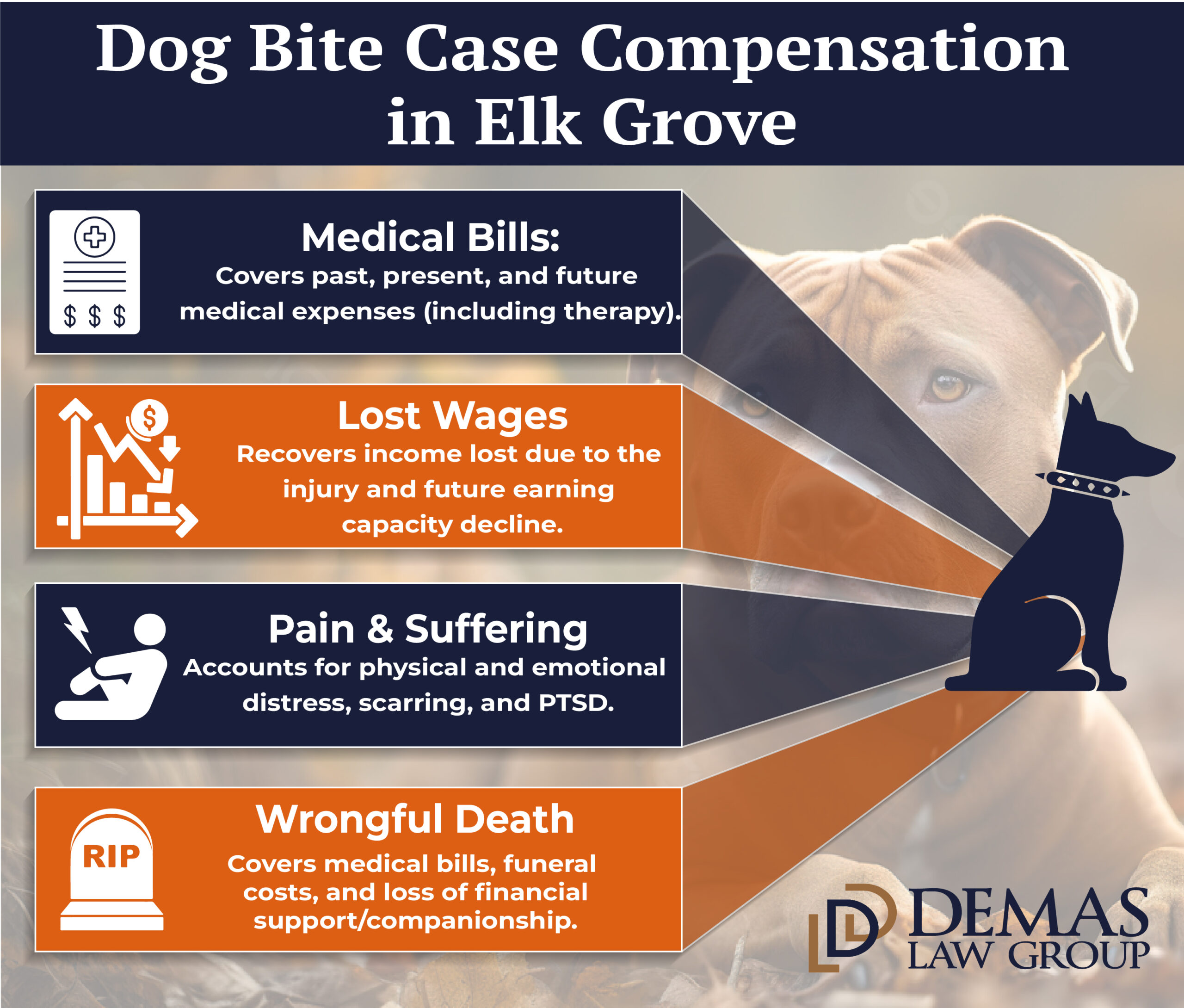 Dog Bite Elk Grove Compensation