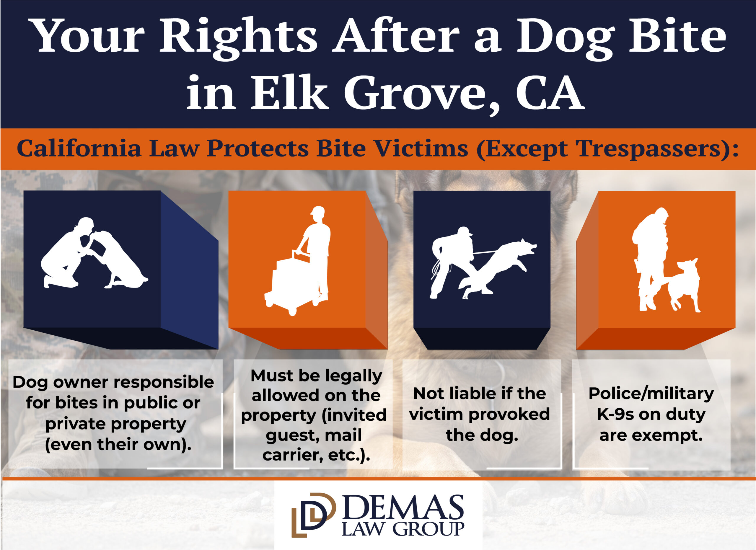 Dog Bite Elk Grove Rights